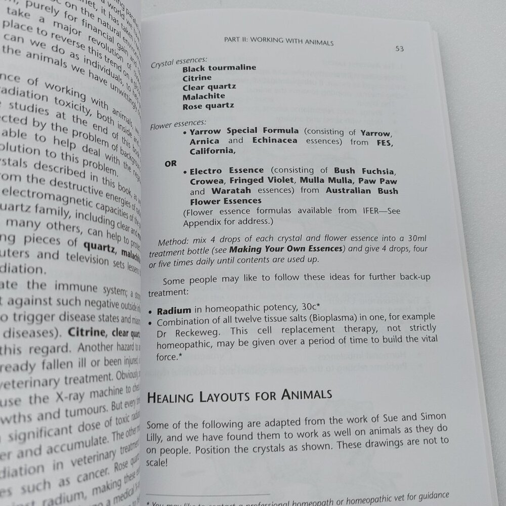2002 Book Crystal Healing For Animals by Martin J. Scott & Gael Mariani - Picture 12 of 13